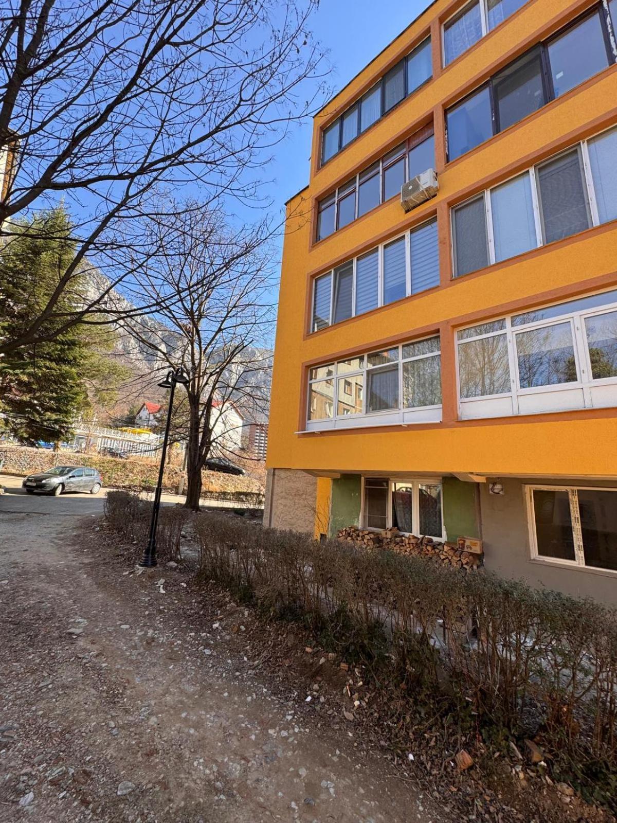 Linen Tree Apartment Herkulesfürdő Kültér fotó